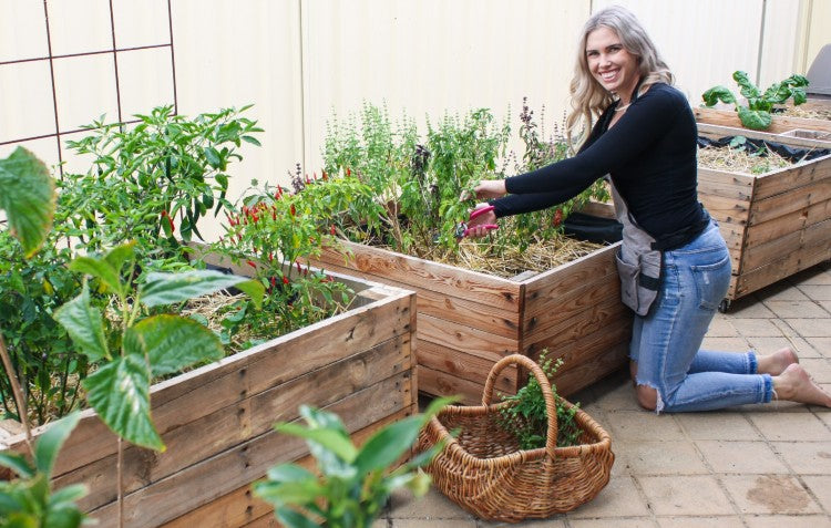 Container Gardening