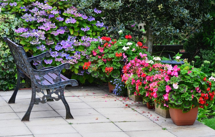 country garden with flowers and bench seat