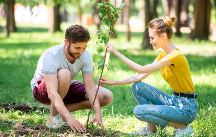 couple-planting-tree