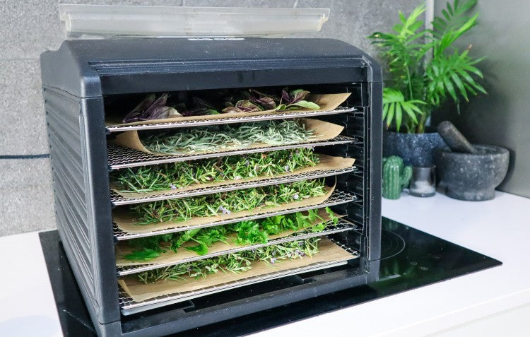 dehydrating-herbs