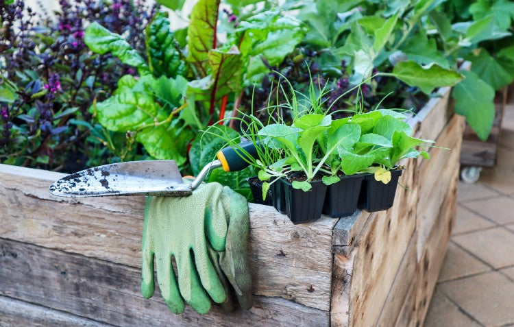 hoselink-trowel-and-gloves