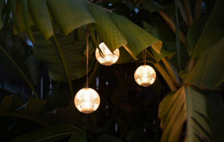 solar garden globes hanging from palm branches