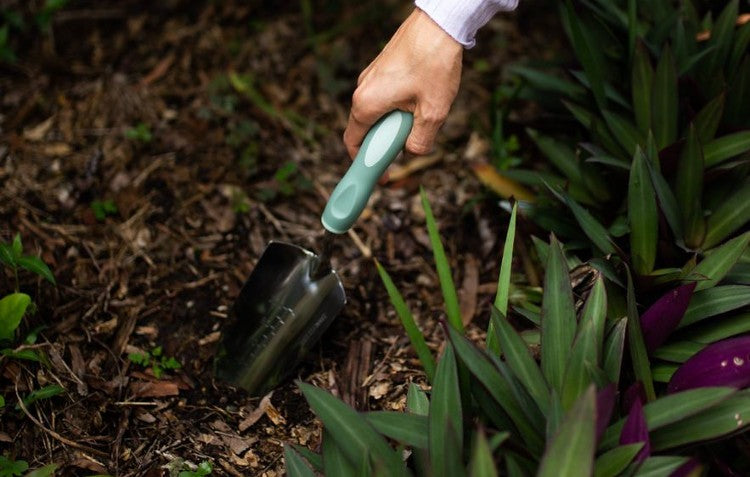 using-garden-trowel-to-check-soil