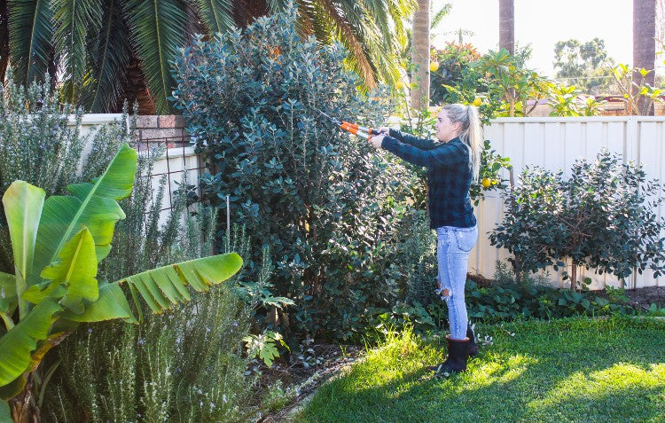 gardener-pruning-tree