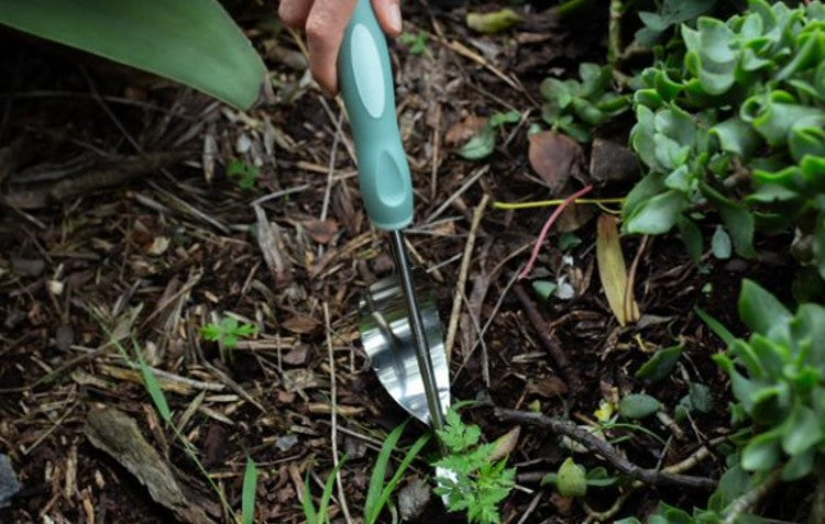 hand weeder