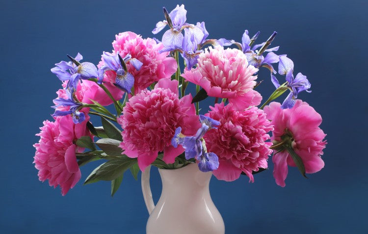 peonies-and-iris-arrangement