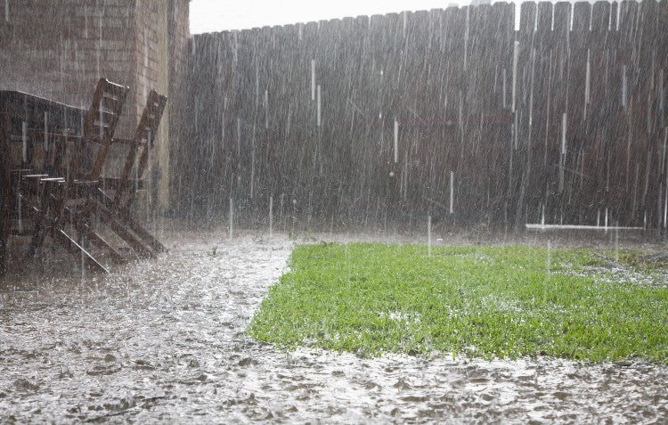 rain-on-garden