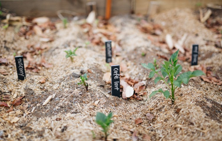 slate-plant-labels-garden