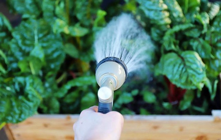 spray-gun-container-garden