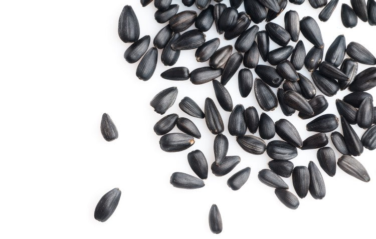 sunflower-seeds