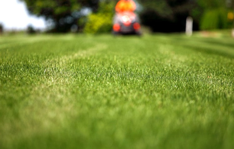 Mowing The Lawn