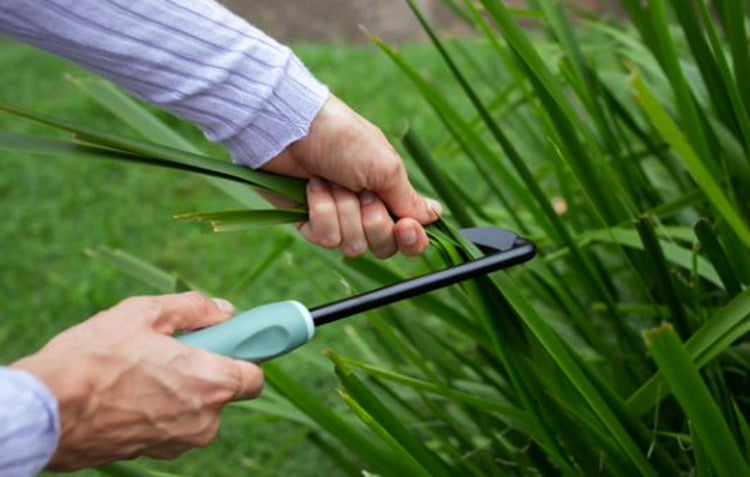 weeding in garden