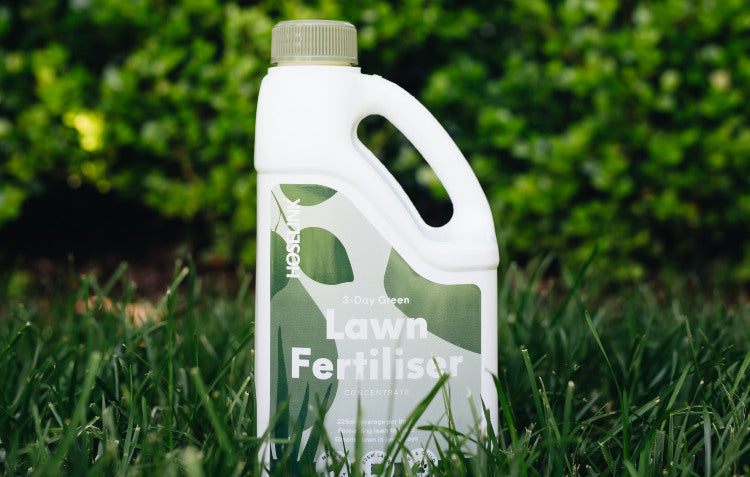 lawn-fertiliser