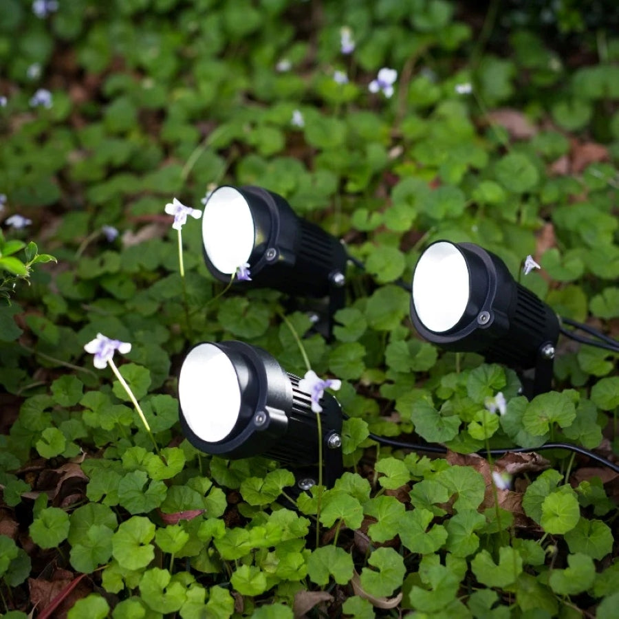 warm solar lights