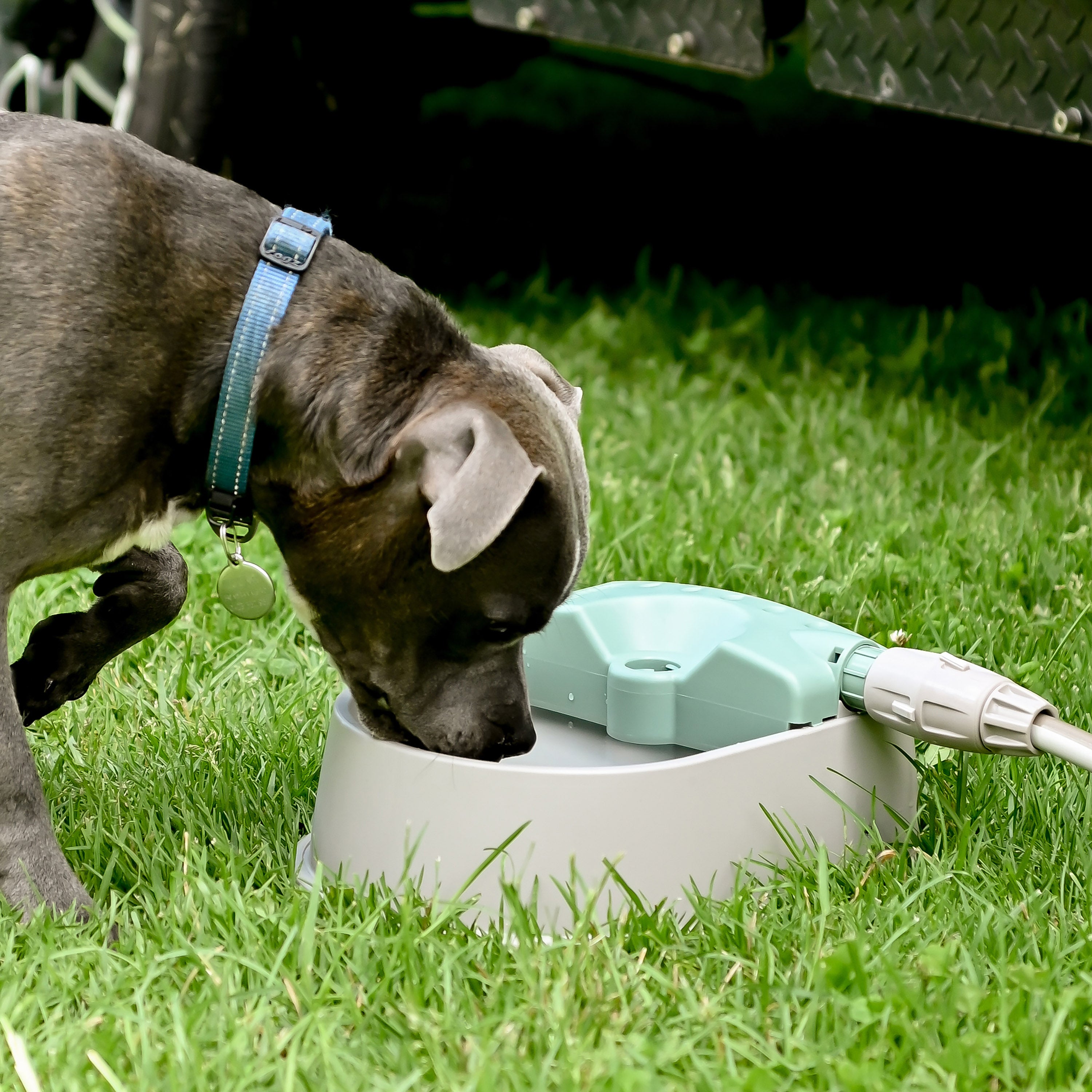 automatic filling water bowl