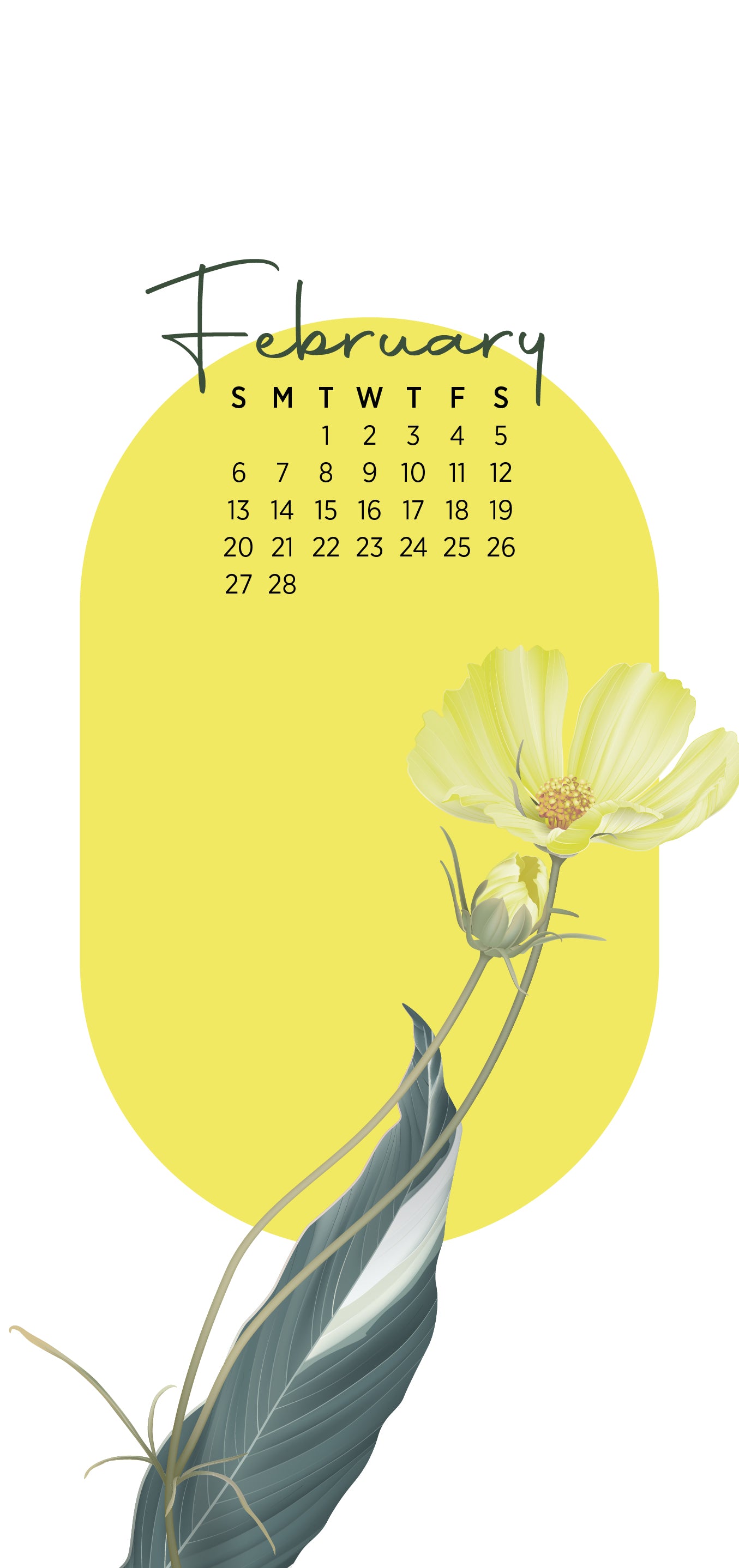 Calendar February 2022 - White
