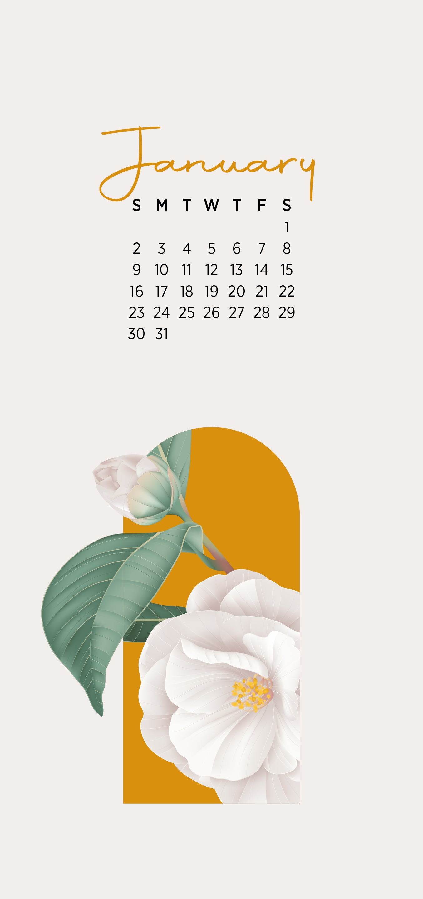 Calendar January 2022 - White