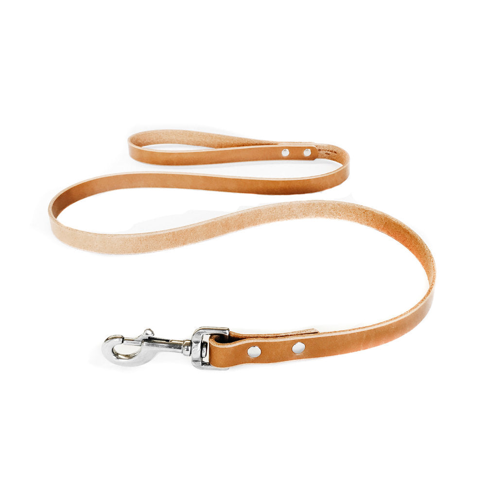 canine leashes and collars