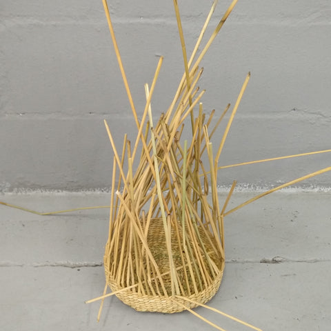 beverly smart xhosa reed basket weaving