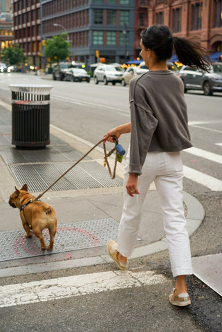 How To Master Dog Walks Without A Leash Even If Cafes Are Near