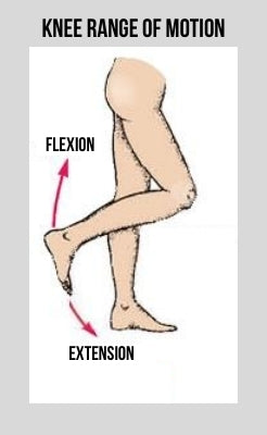 knee-range-of-motion-flexion-extension