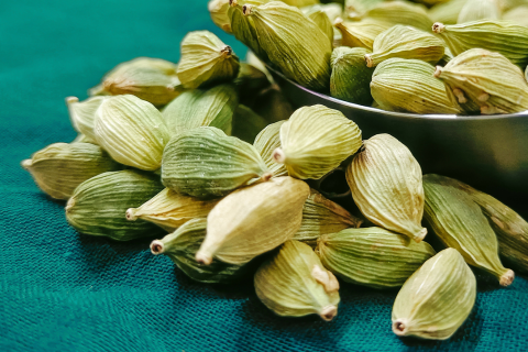 cardamome