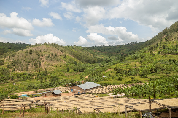 sake farm