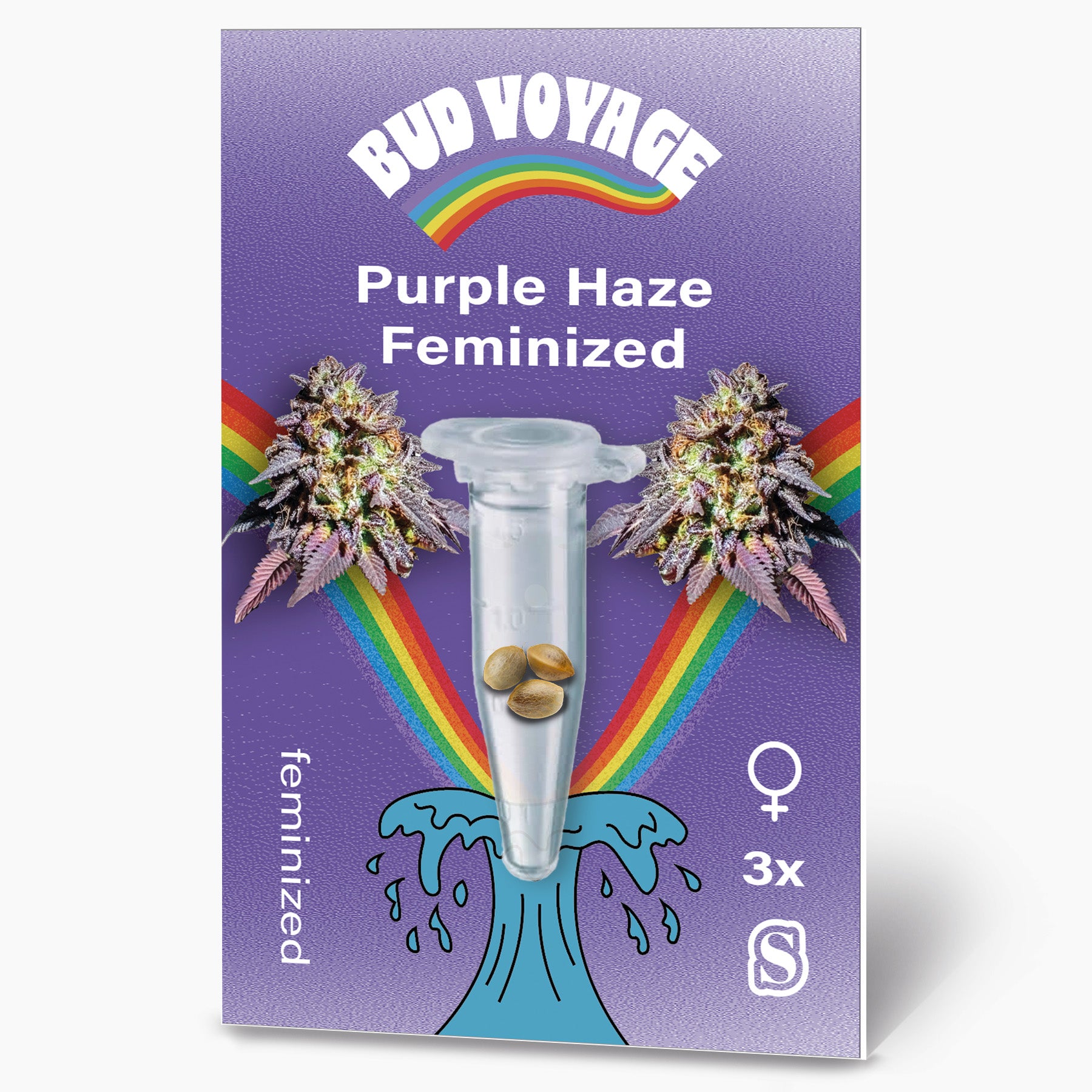 Hanfsamen Purple Haze Fem (euphorisch, happy, relaxed) - HANS Brainfood product image