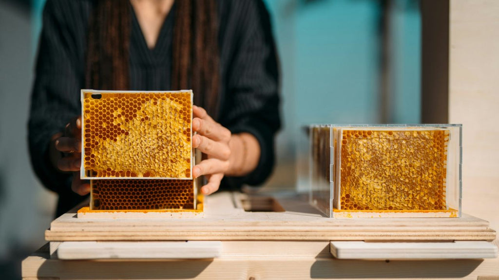 Honey as ingredients of heat protectant