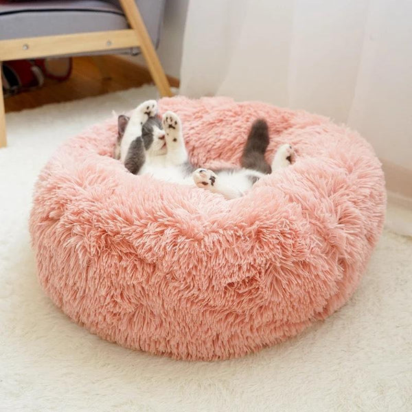 soft cat bed