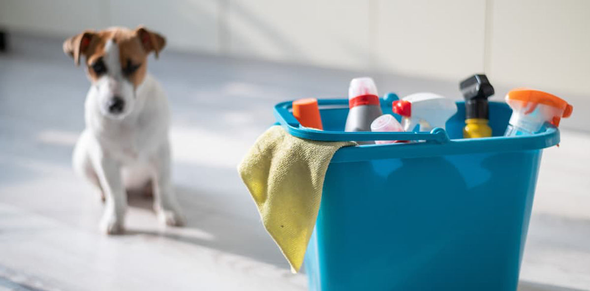 can laundry detergent kill a dog