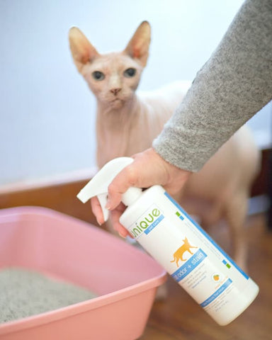 unique advance cat odor and stain remover being sprayed into litter box to eliminate cat urine odors