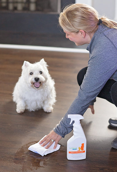 woman using Unique Pet Care Hard Floor Cleaner to clean pet stain on hardwood floor while Westie terrier watches