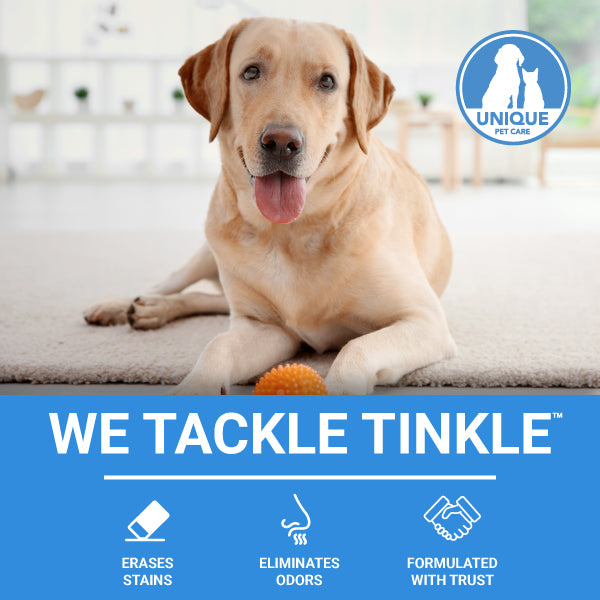 We Tackle Tinkle. Unique Pet Care