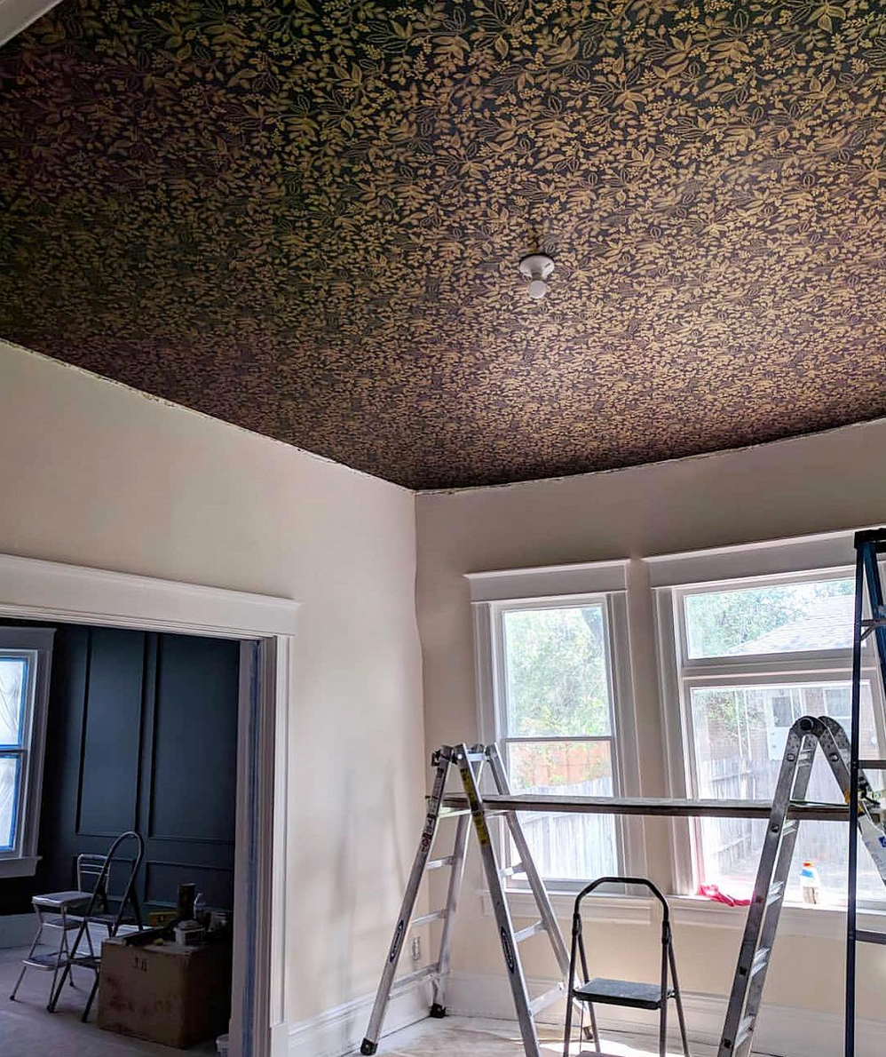 Best Wallpapers for a Ceiling Roundup | Queen Anne (Ebony)