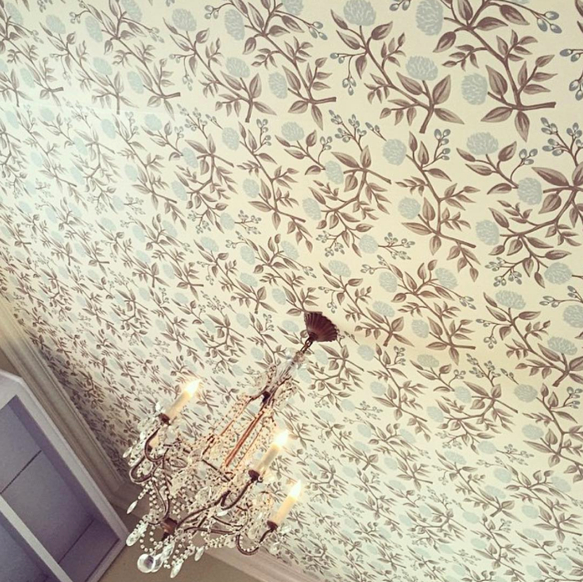 Best Wallpapers for a Ceiling Roundup | Peonies (Pale Blue)