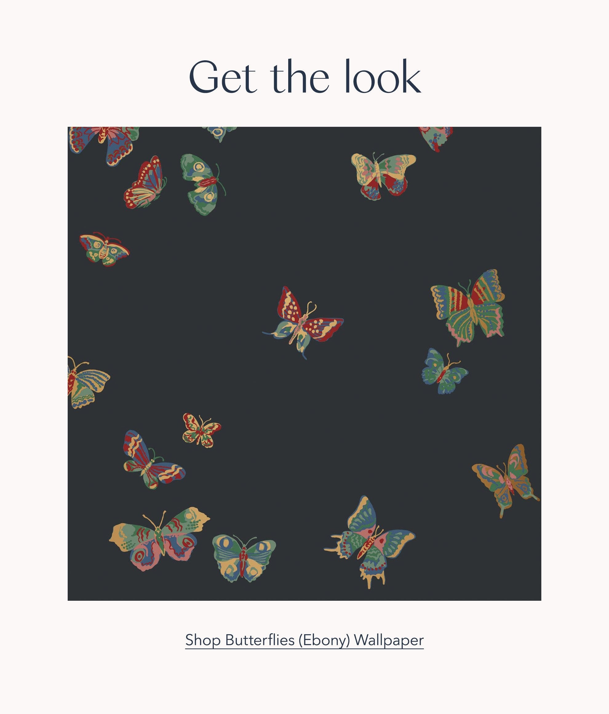 Shop Butterflies (Ebony) Wallpaper | Nathalie Lete x Hygge & West
