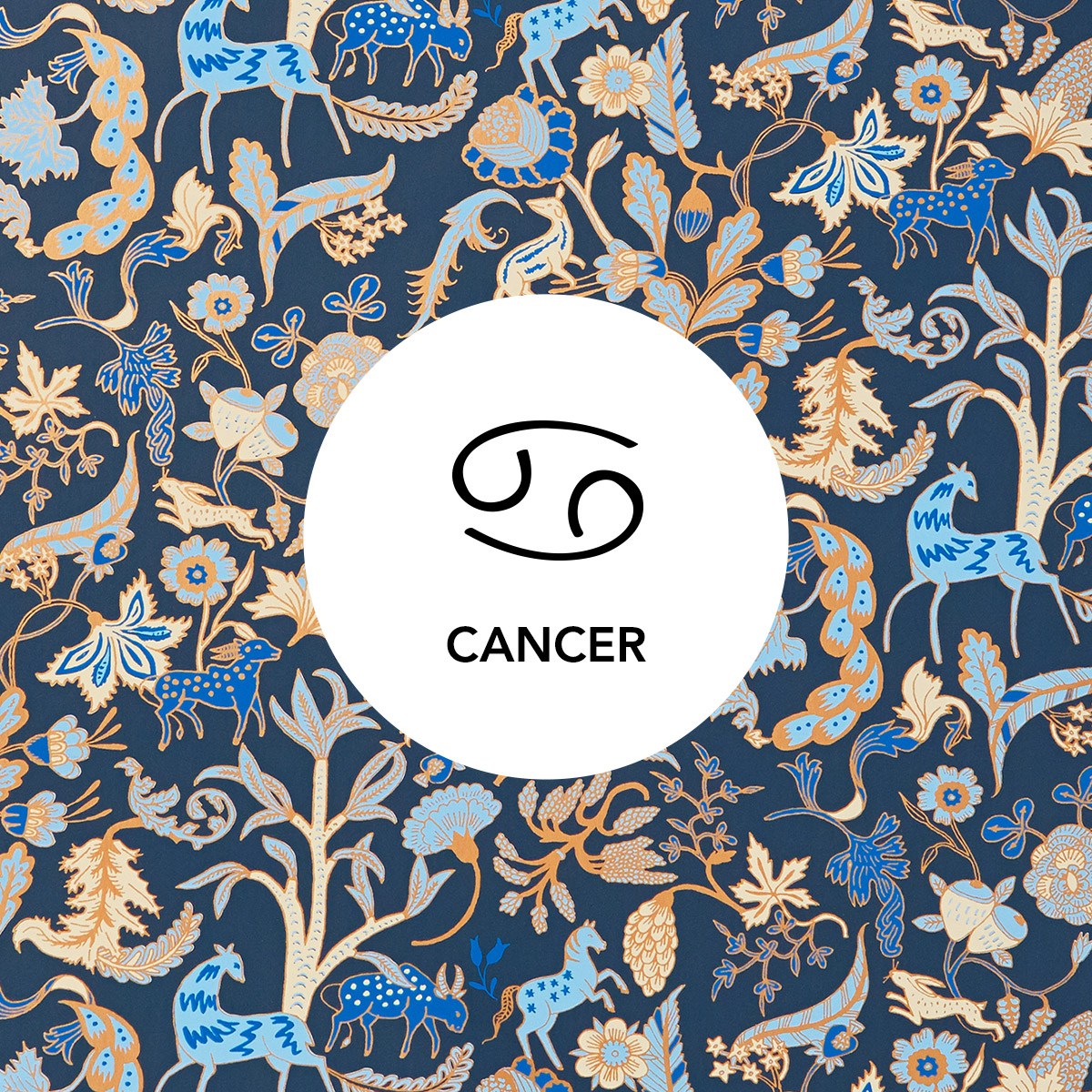 Cancer | Foret Midnight wallpaper | Julia Rothman | Hygge & West