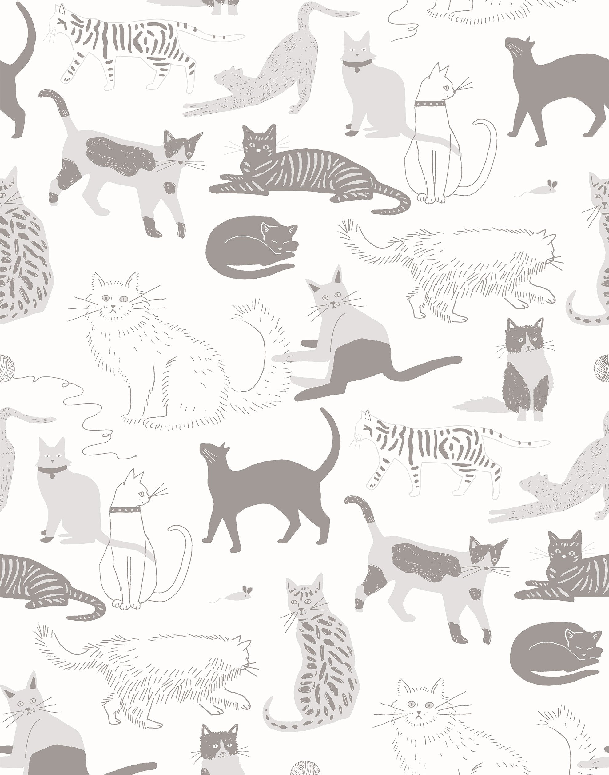 Meow Background Images, HD Pictures and Wallpaper For Free Download |  Pngtree