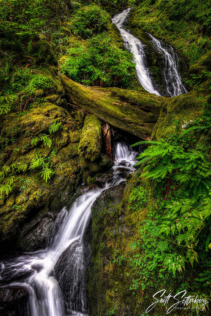 Bunch Creek Falls, Olympic National Park, Washington