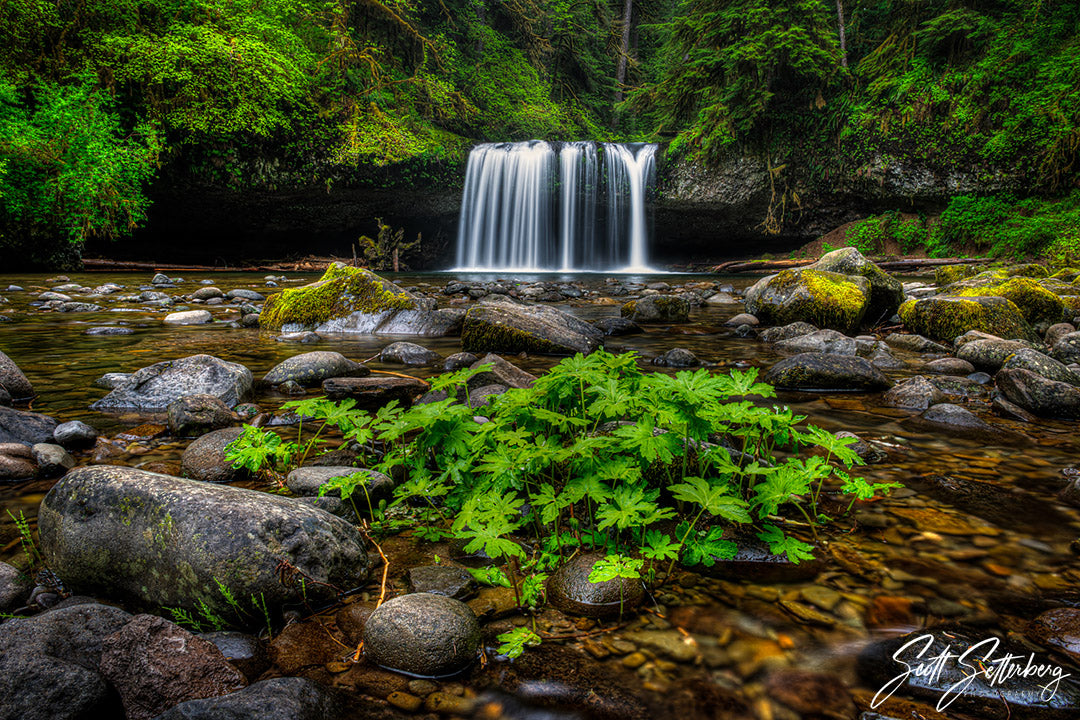 Butte Creek Falls, Oregon