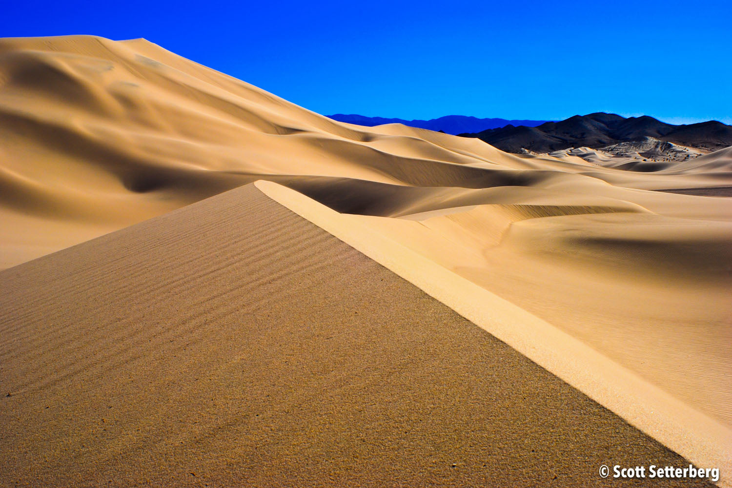 Dumont Dunes Master