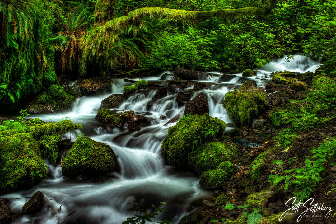 Fairy Falls Stream, Columbia River Gorge, Oregon