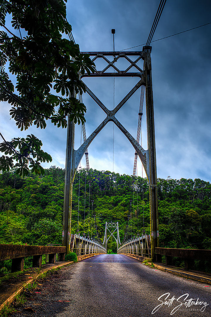 Jungle Bridge, Costa Rica