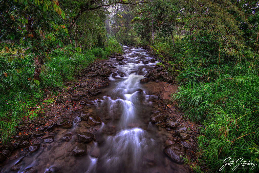 El Castillo Stream, Costa Rica