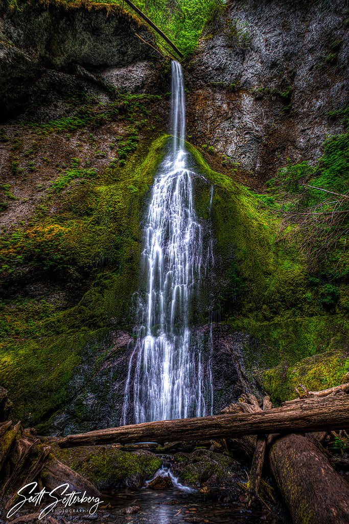 Marymere Falls, Olympic National Park, Washington