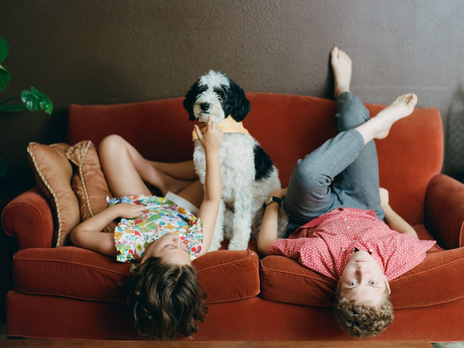 Kim Hildebrand's lifestyle photograph of kids sitting upside down on the couch with their dog