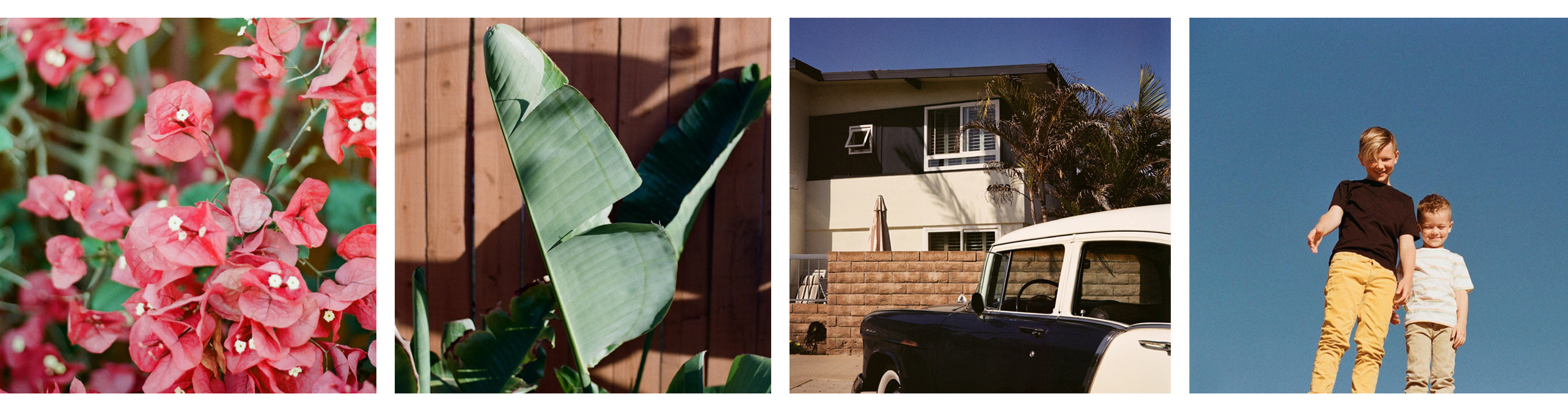 Kodak Gold 200 Film Stock Image examples