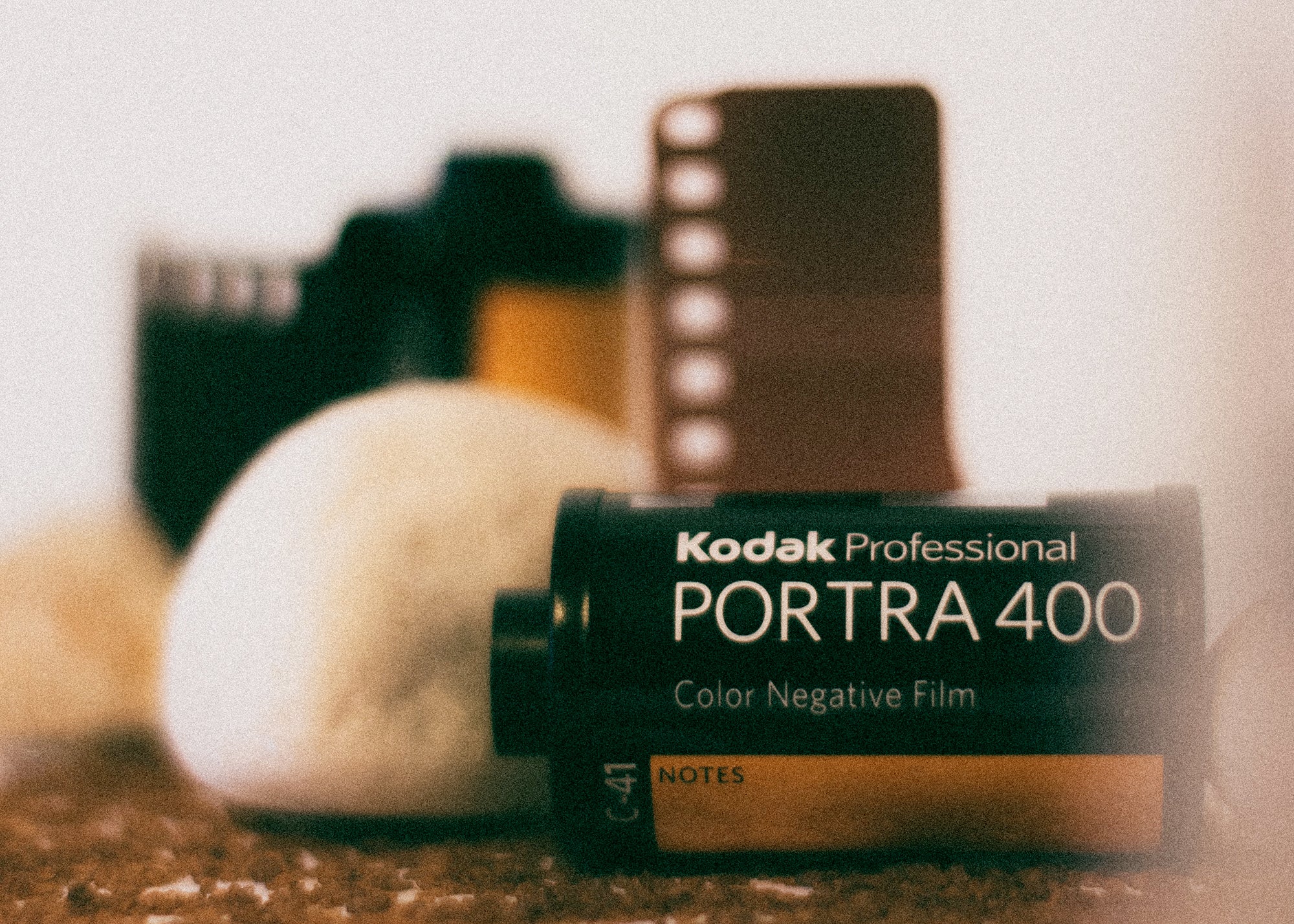 Kodak Portra 400 Color Film Stock