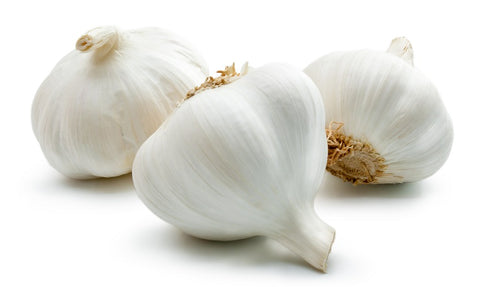 health benefits of garlic